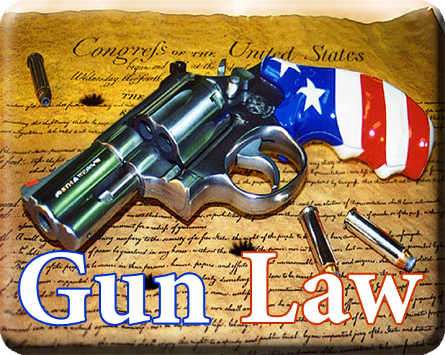 All Rise: Law on Guns